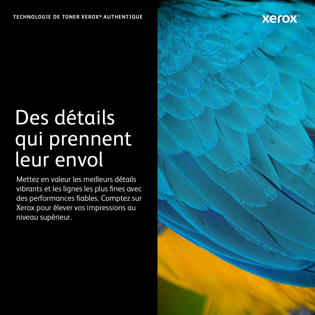 Xerox Cartouche de toner Noir B225 / B230 / B235 - 006R04400 (006R04400) | SMSY Services Xerox Cartouche de toner Noir B225 / B230 / B235 - 006R04400 (006R04400) – Image 3